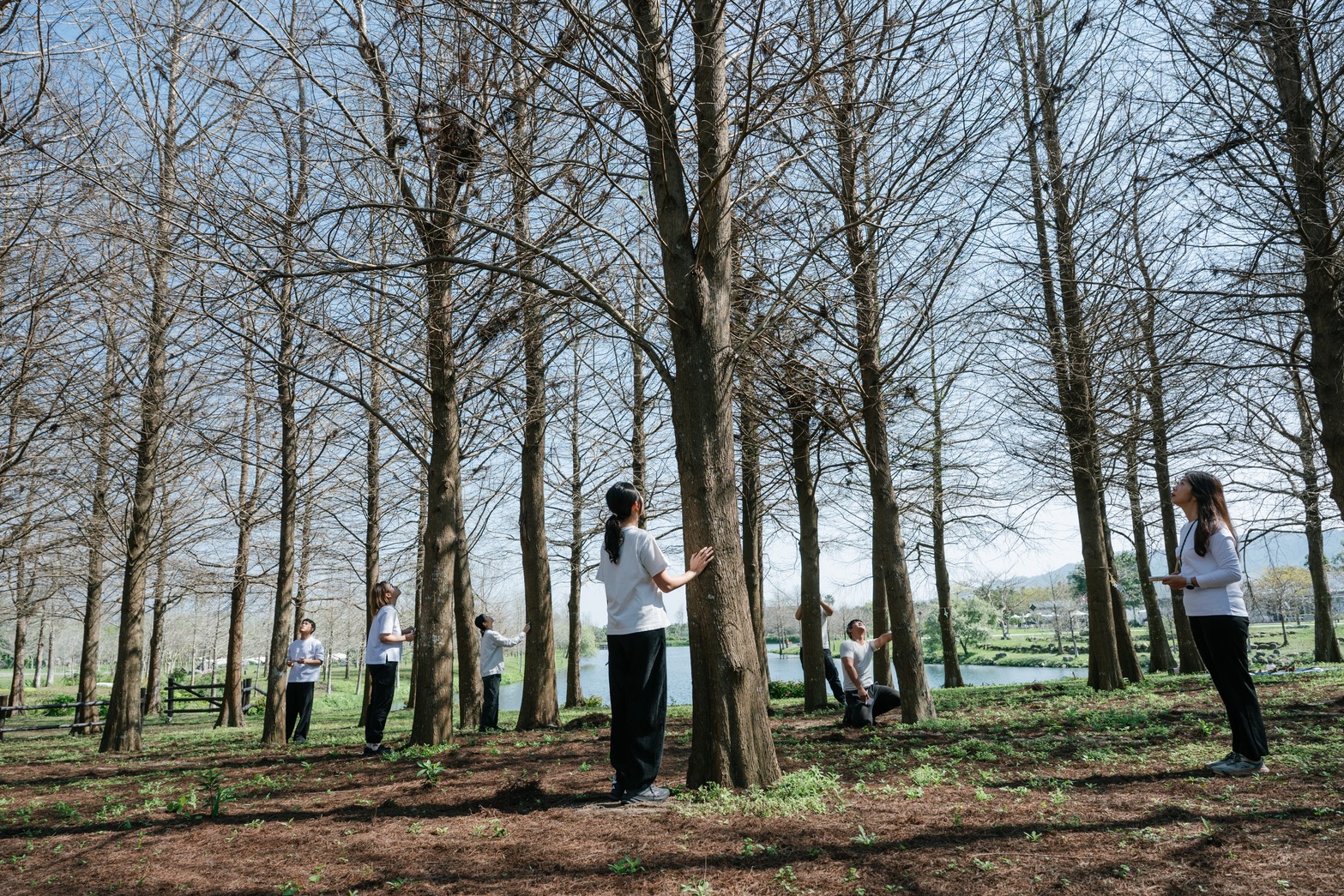 邀請旅人穿梭於綠意中，開啟森林療癒與藍曬植物創作，運用陽光與植物將自然的光影節拍凝固於作品裡。