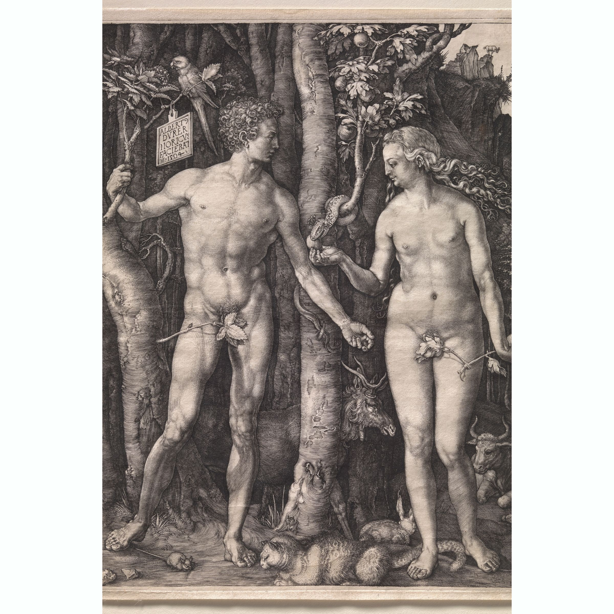 Albrecht Dürer 《Adam and Eve》