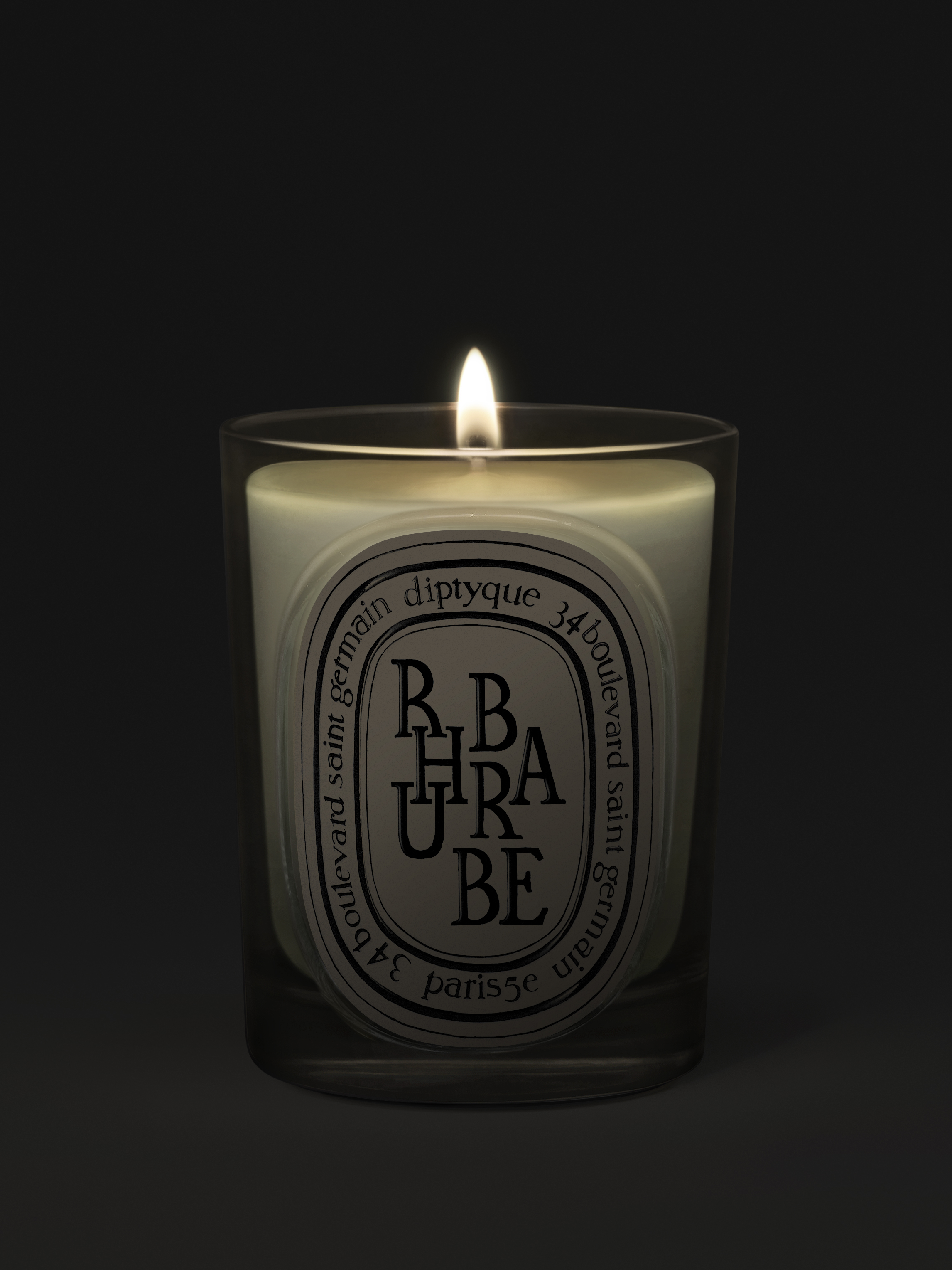 BOUGIE-RHUBARBE-190G_CLASSIC-CANDLE-REVAMP-2026_RHUBAI190_RVB_HD_SPEC-ECOM_2292x3055px_2_DIPTYQUE
