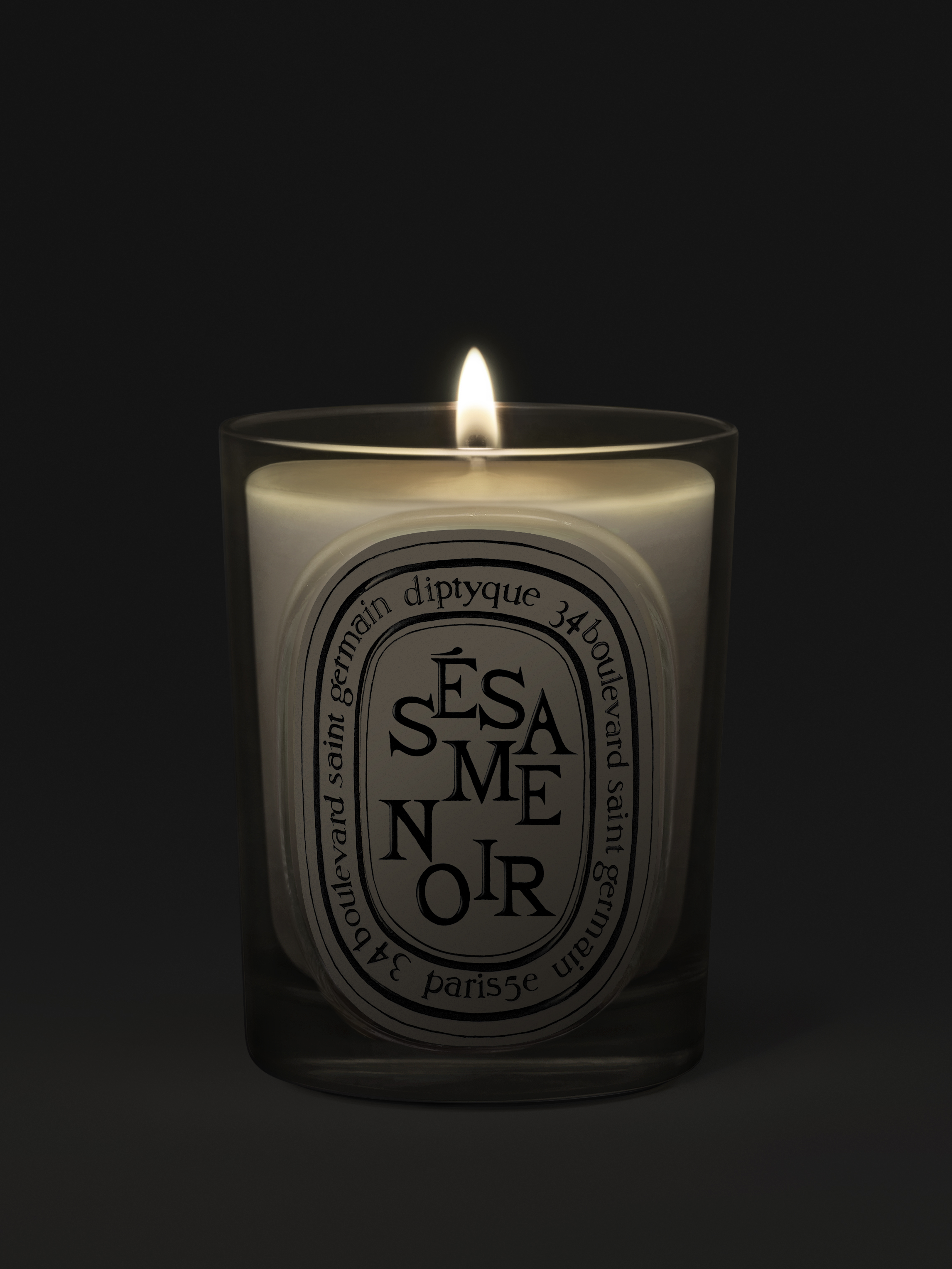 BOUGIE-SESAME-NOIR-190G_CLASSIC-CANDLE-REVAMP-2026_SESAM190_RVB_HD_SPEC-ECOM_2292x3055px_2_DIPTYQUE