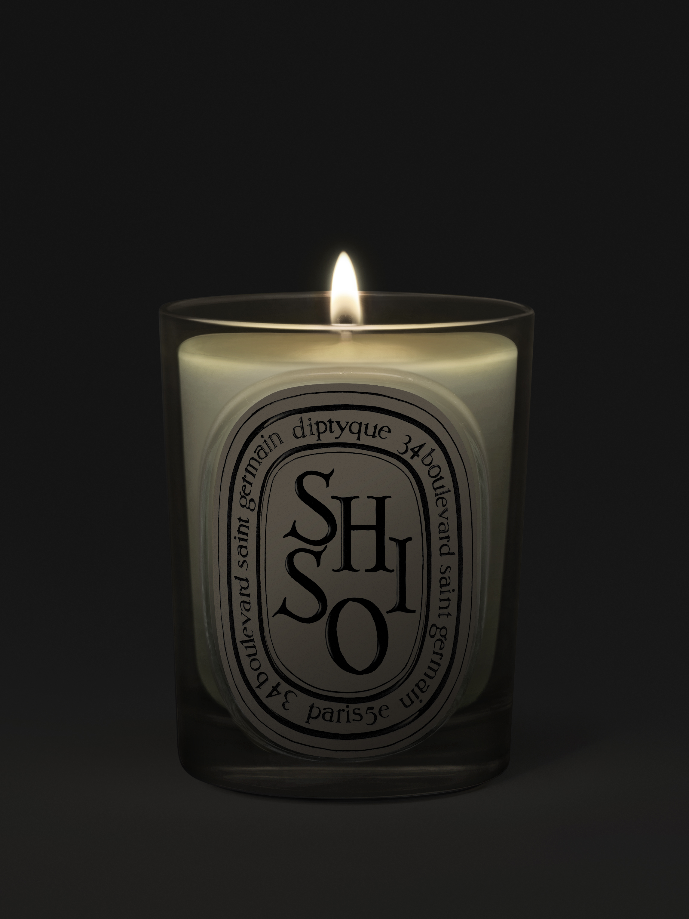 BOUGIE-SHISO-190G_CLASSIC-CANDLE-REVAMP-2026_SHISO190_RVB_HD_SPEC-ECOM_2292x3055px_2_DIPTYQUE