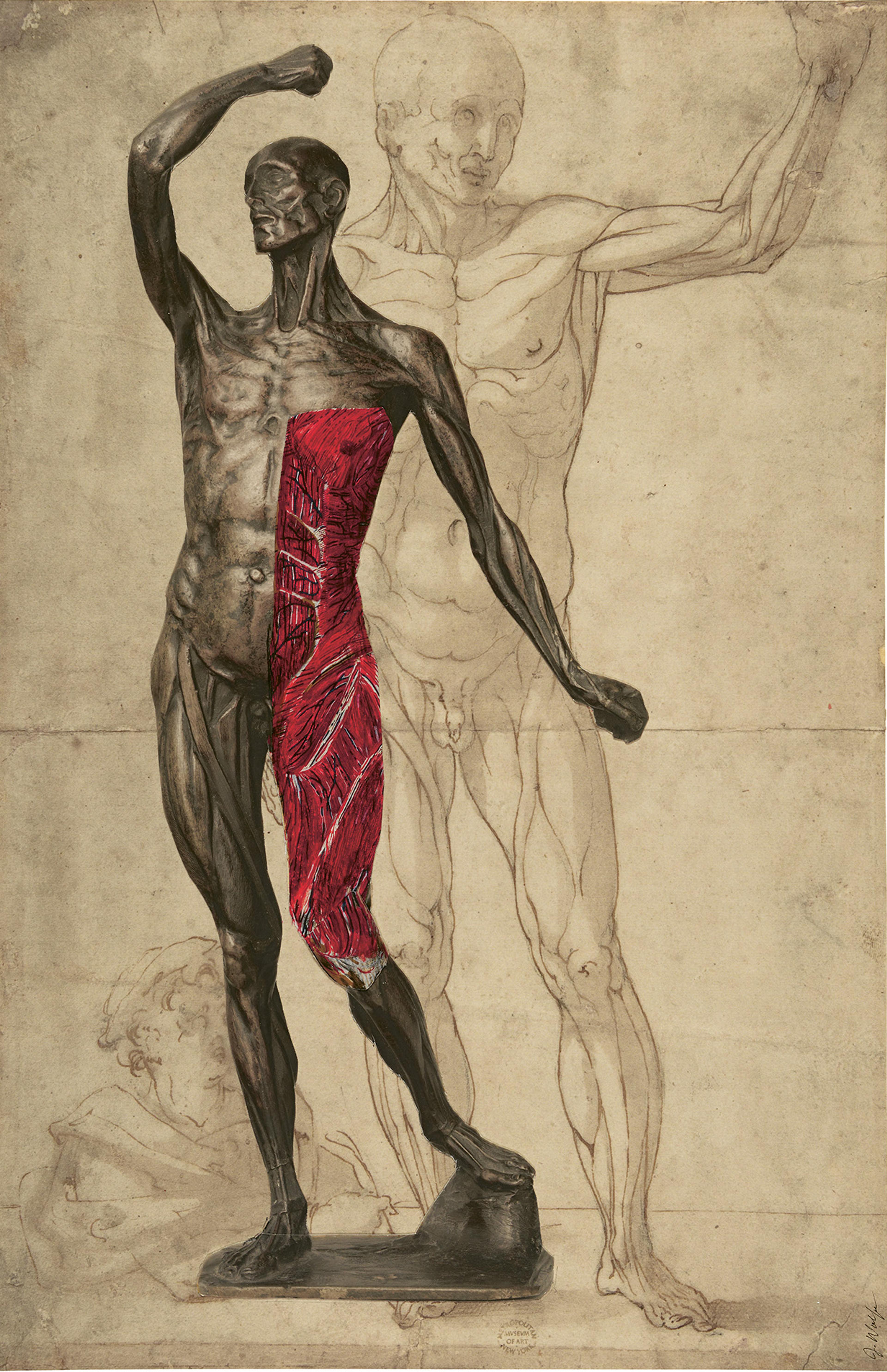 Michael Henry Spang《Ecorché》、Thom Browne F/W 2024 COUTURE、匿名義大利藝術家《A youth lower left drawing an écorché of a standing man》