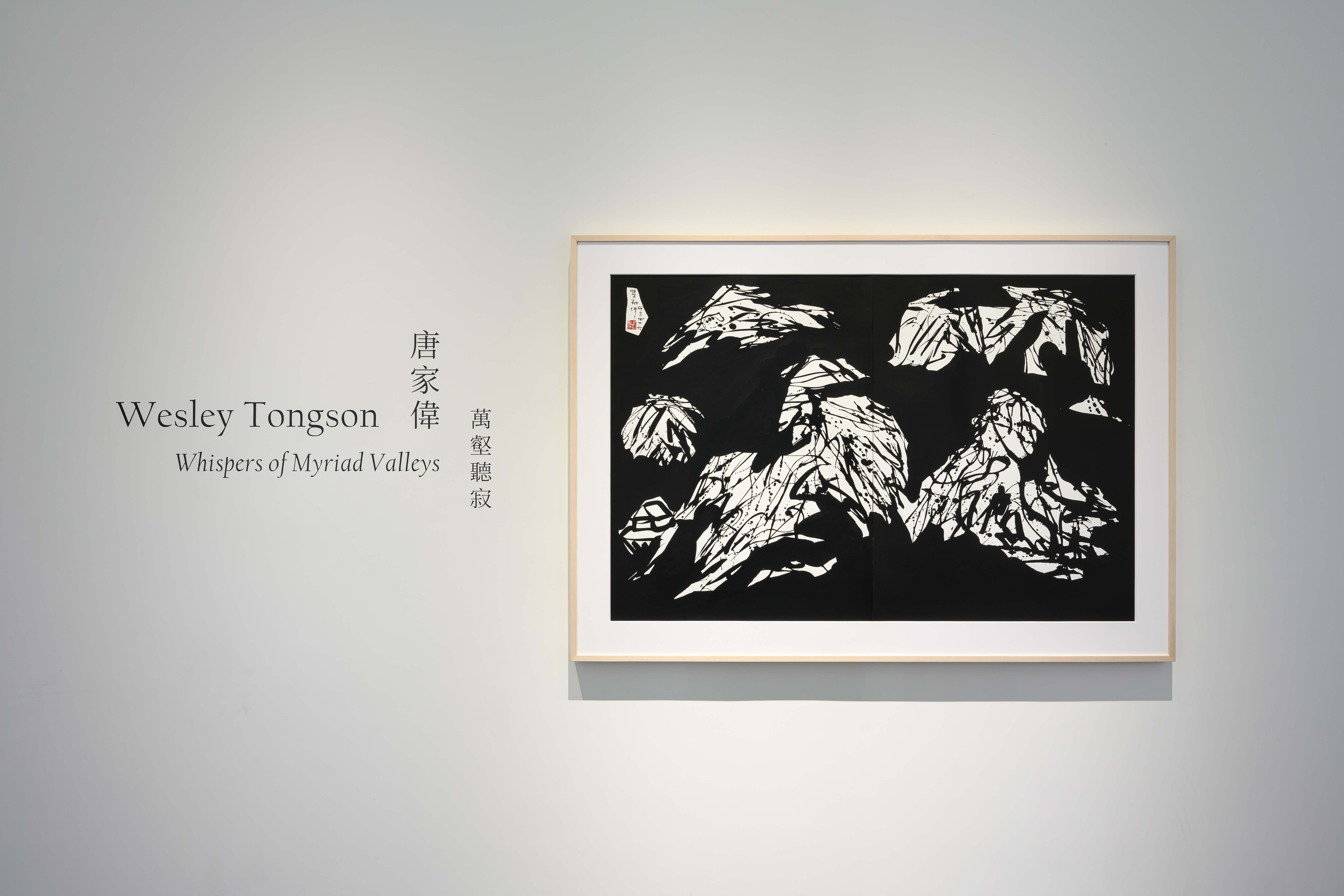 Wesley Tongson_Whispers of Myriad Valleys_5