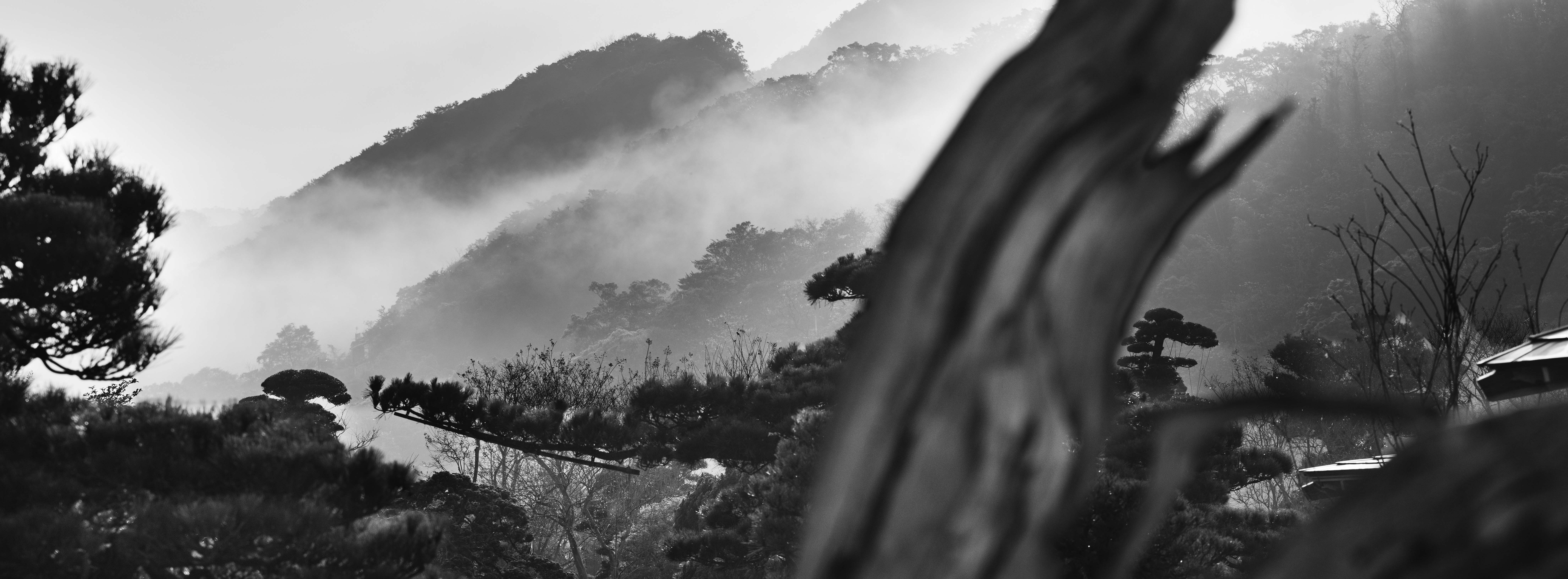山嵐景致