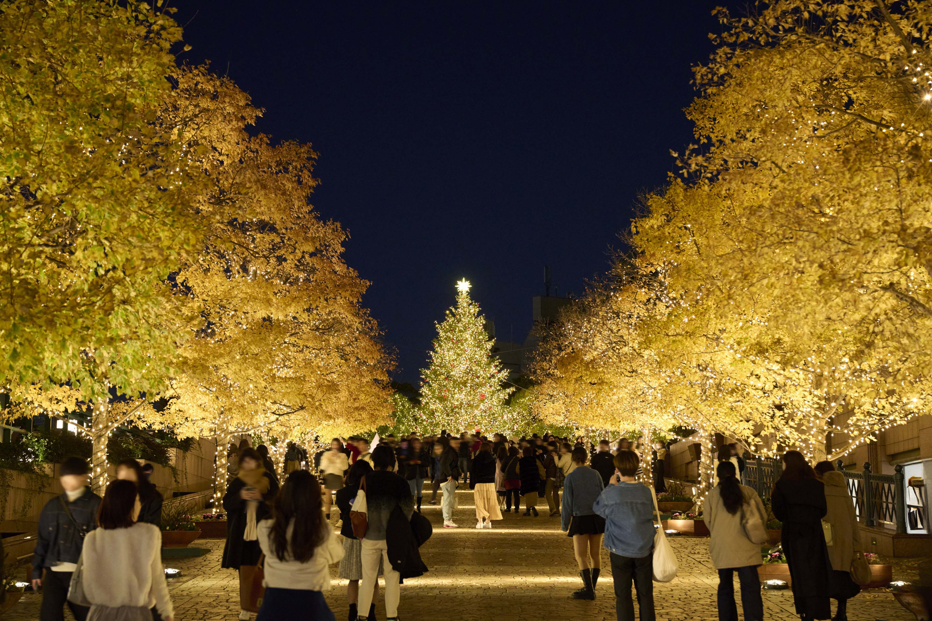 東京的聖誕節,從皇居旁開始!Palace Hotel Tokyo 推出「A Tokyo Christmas」冬日住宿體驗