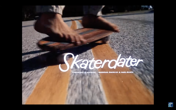 skaterdater2